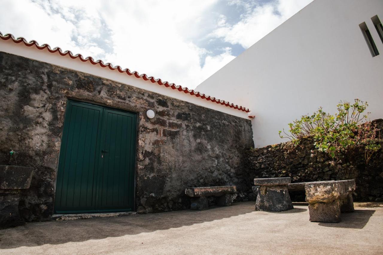 Casa Das Palmeiras Sao Vicente Ferreira Bagian luar foto